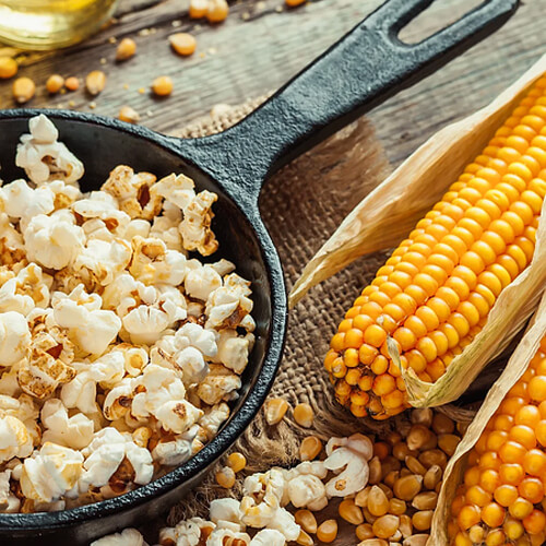 Popcorn in a cast iron skillet beside fresh ears of corn and popcorn kernels, representing the U-pick popcorn experience at Cherry Crest Adventure Farm.