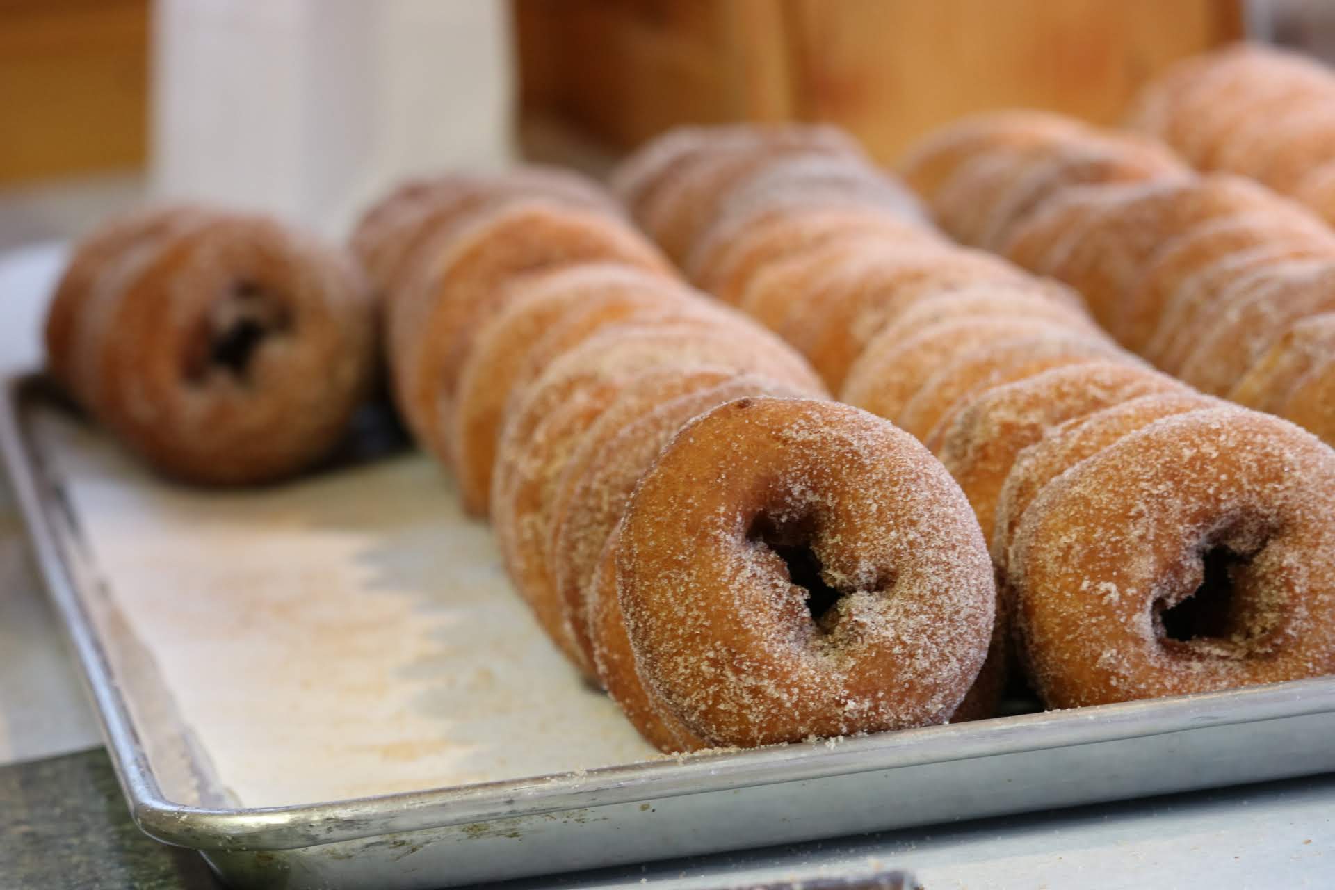 Cider donuts dusted with sugar on a tray at Cherry Crest Adventure Farm, highlighting popular farm food offerings during seasonal festivals.